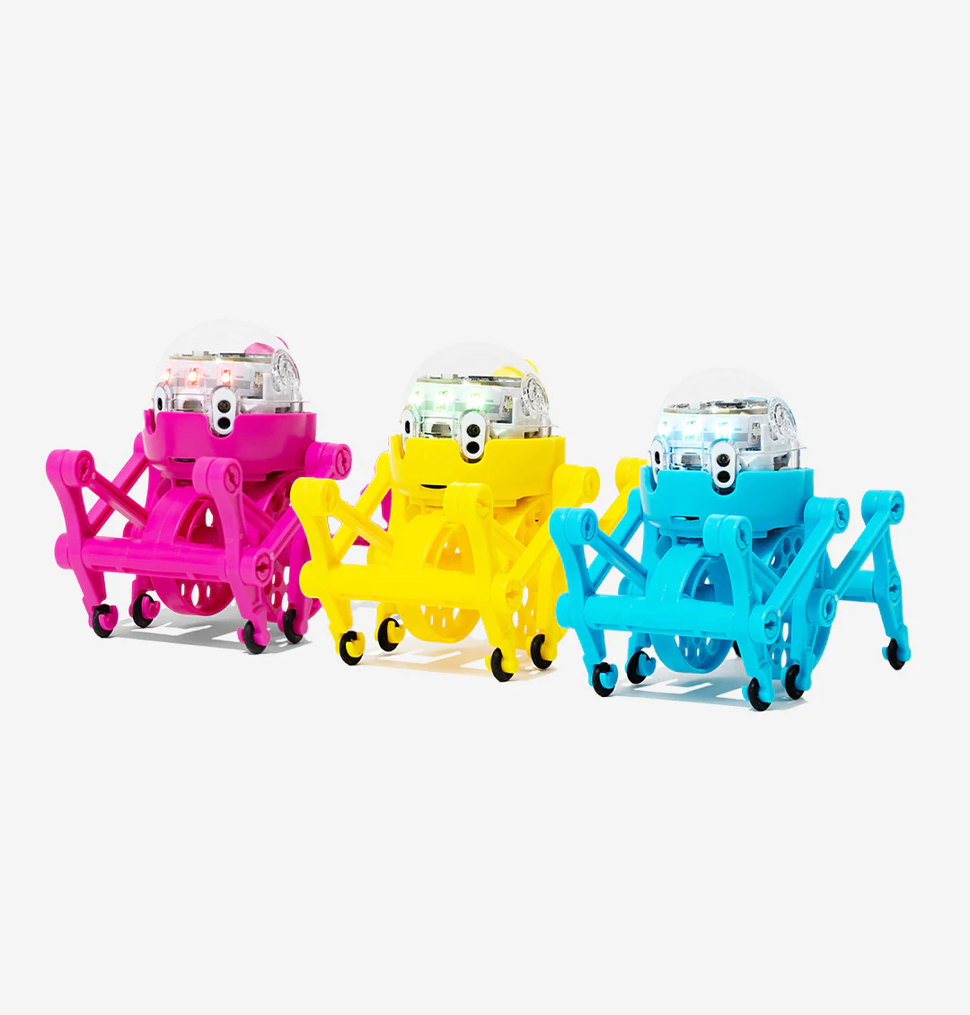 STEM Bundle: Evo Entry Kit + Ozobot Crawler - Image 3